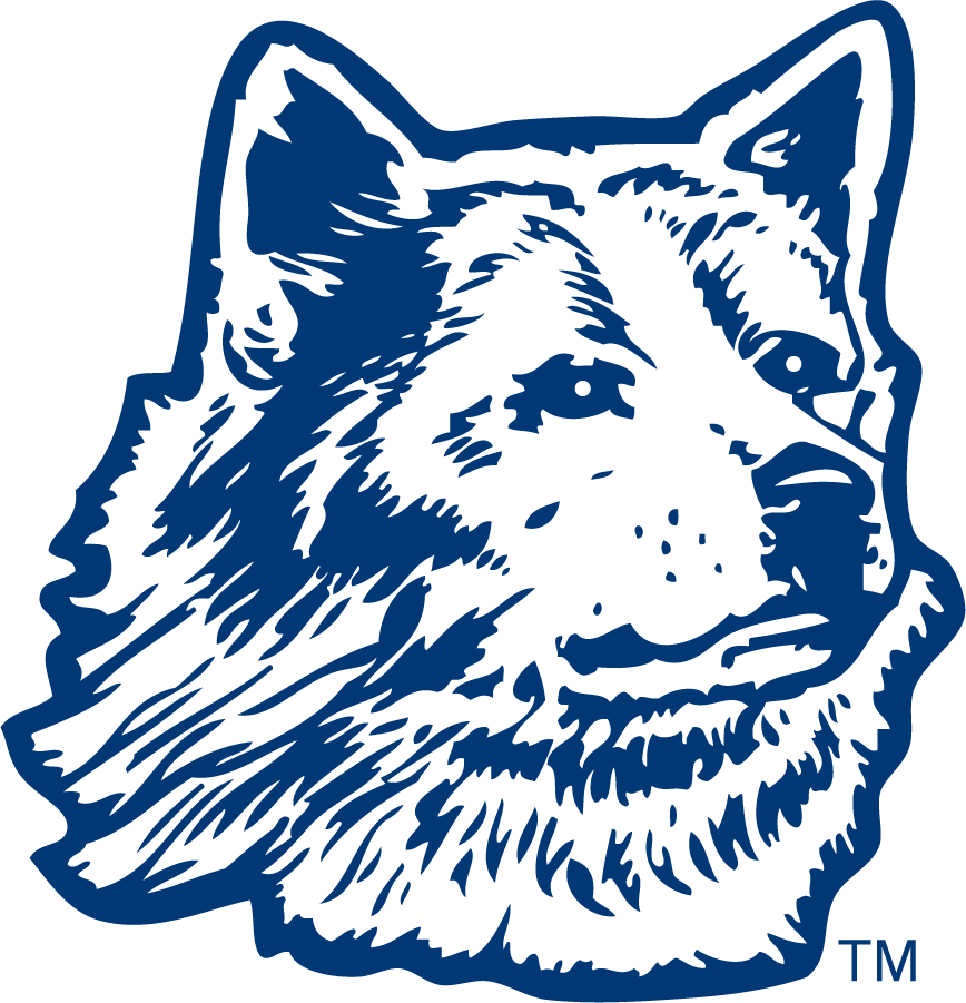 UConn Huskies 1970-1981 Primary Logo diy iron on heat transfer